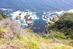 The Red Tide