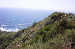 I'm king of... this... cliff!